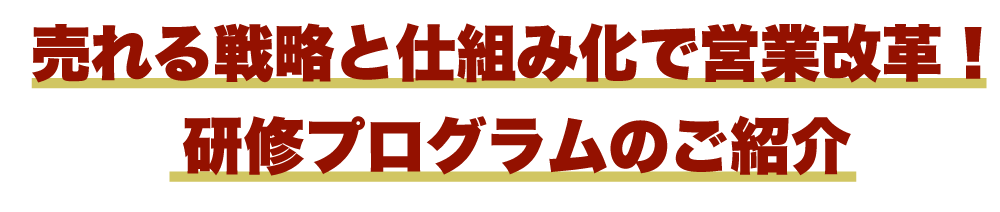 売れる戦略と仕組み化で営業改革!研修プログラムのご紹介
