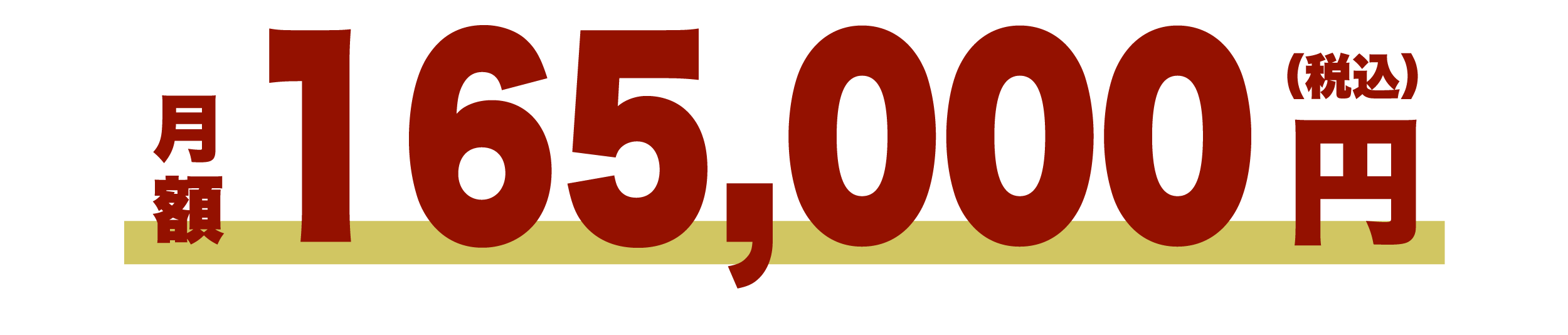 月額165,000円(税込)